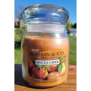 Bath and Body Works Slatkin & Co HTF Spiced Cider 14.5oz Jar Candle Fall Decor